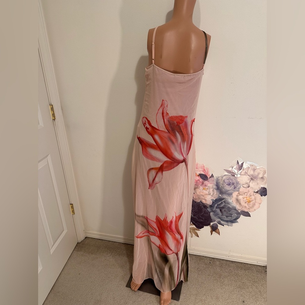 Like new Musier Paris Avina Dress in Nude With Rose Print pink floral maxi - Picture 9 of 14